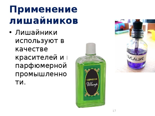 Применение лишайников Лишайники используют в качестве красителей и в парфюмерной промышленности.  