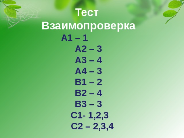 Тест  Взаимопроверка  А1 – 1  А2 – 3  А3 – 4  А4 – 3  В1 – 2  В2 – 4  В3 – 3  С1- 1,2,3  С2 – 2,3,4                                                              