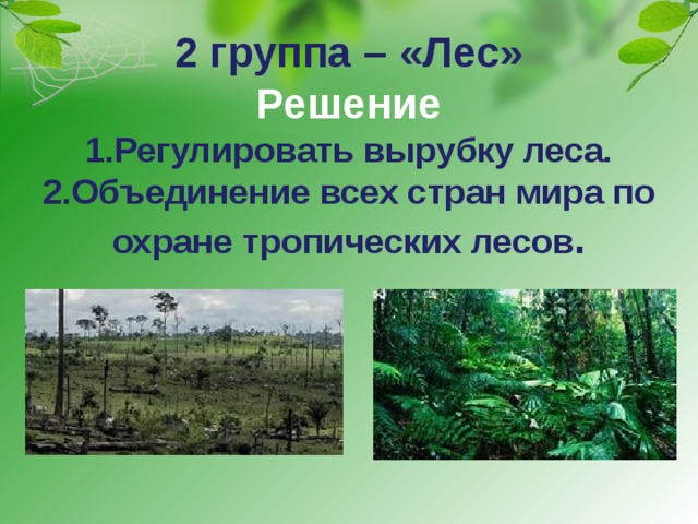2 группа – «Лес»  Решение  1.Регулировать вырубку леса.  2.Объединение всех стран мира по охране тропических лесов . 