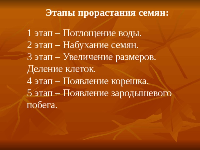 Этапы прорастания семян: 1 этап – Поглощение воды. 2 этап – Набухание семян. 3 этап – Увеличение размеров. Деление клеток. 4 этап – Появление корешка. 5 этап – Появление зародышевого побега. 