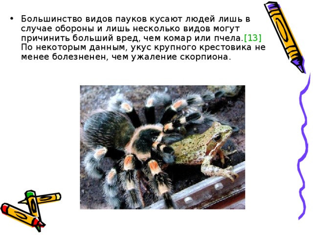 Большинство видов пауков кусают людей лишь в случае обороны и лишь несколько видов могут причинить больший вред, чем комар или пчела. [13] По некоторым данным, укус крупного крестовика не менее болезненен, чем ужаление скорпиона. 