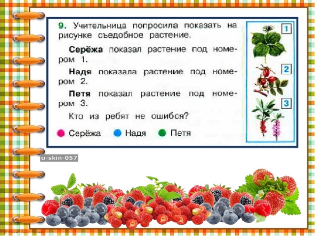 Обобщение по разделу общение презентация 2 класс окружающий мир плешаков