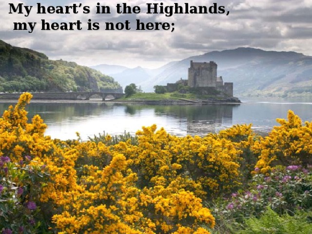 My heart’s in the Highlands,  my heart is not here; 