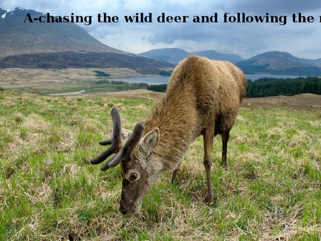 A-chasing the wild deer and following the roe; 
