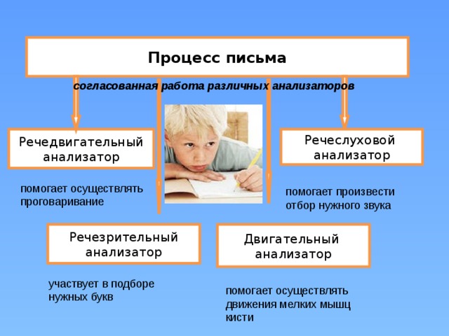 Процесс письма согласованная работа различных анализаторов Речедвигательный Речеслуховой анализатор анализатор помогает осуществлять проговаривание помогает произвести отбор нужного звука Речезрительный Двигательный анализатор анализатор участвует в подборе нужных букв помогает осуществлять движения мелких мышц кисти 