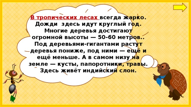 В тропических лесах всегда жарко. Дожди здесь идут круглый год. Многие деревья достигают огромной высоты — 50-60 метров.. Под деревьями-гигантами растут деревья пониже, под ними — ещё и ещё меньше. А в самом низу на земле — кусты, папоротники, травы. Здесь живёт индийский слон. 