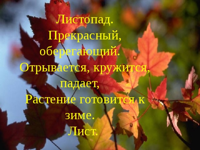 Листопад. Прекрасный, оберегающий. Отрывается, кружится, падает, Растение готовится к зиме. Лист. 