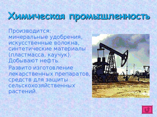   Производится: минеральные удобрения, искусственные волокна, синтетические материалы (пластмасса, каучук). Добывают нефть.   Развито изготовление лекарственных препаратов, средств для защиты сельскохозяйственных растений. 