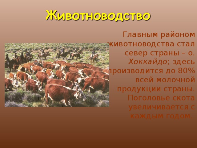   Главным районом животноводства стал север страны – о. Хоккайдо ; здесь производится до 80% всей молочной продукции страны. Поголовье скота увеличивается с каждым годом. 