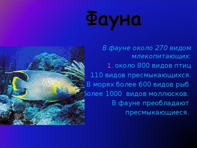   В фауне около 270 видом млекопитающих: 1. около 800 видов птиц 110 видов пресмыкающихся. В морях более 600 видов рыб 4. более 1000 видов моллюсков. В фауне преобладают пресмыкающиеся. 