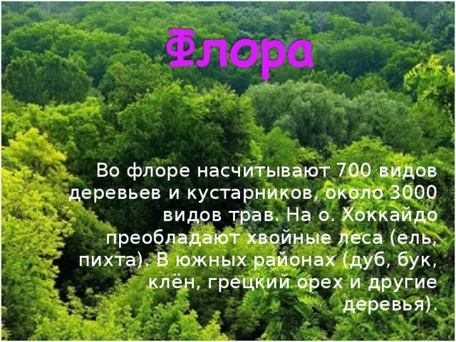   Во флоре насчитывают 700 видов деревьев и кустарников, около 3000 видов трав. На о. Хоккайдо преобладают хвойные леса (ель, пихта). В южных районах (дуб, бук, клён, грецкий орех и другие деревья). 