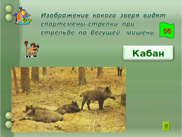 10б Какое вещество « гасят водой», хотя оно не горит? Негашеная известь СаО 