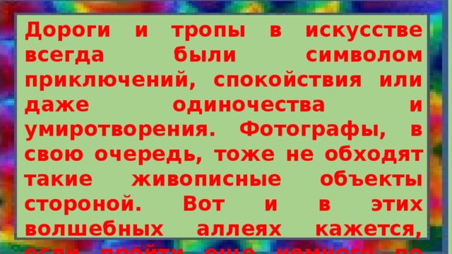 Дороги и тропы в искусстве всегда были символом приключений, спокойствия или даже одиночества и умиротворения. Фотографы, в свою очередь, тоже не обходят такие живописные объекты стороной. Вот и в этих волшебных аллеях кажется, если пройти еще немного по любой из них, то обязательно попадешь прямо в сказку. 