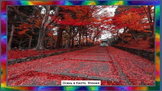 Осень в Киото, Япония 
