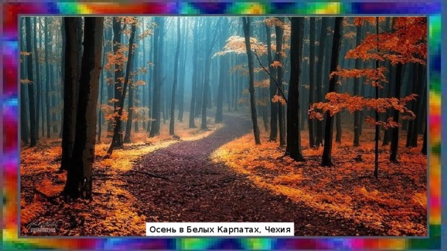 Осень в Белых Карпатах, Чехия 