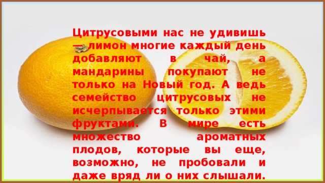 Цитрусовыми нас не удивишь — лимон многие каждый день добавляют в чай, а мандарины покупают не только на Новый год. А ведь семейство цитрусовых не исчерпывается только этими фруктами. В мире есть множество ароматных плодов, которые вы еще, возможно, не пробовали и даже вряд ли о них слышали. 