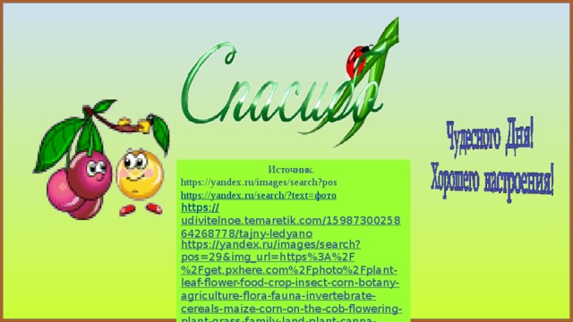  Источник. https://yandex.ru/images/search?pos https ://yandex.ru/search/?text= фото https:// udivitelnoe.temaretik.com/1598730025864268778/tajny-ledyano https://yandex.ru/images/search?pos=29&img_url=https%3A%2F%2Fget.pxhere.com%2Fphoto%2Fplant-leaf-flower-food-crop-insect-corn-botany-agriculture-flora-fauna-invertebrate-cereals-maize-corn-on-the-cob-flowering-plant-grass-family-land-plant-canna-family- 