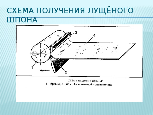 Получение лущеного шпона