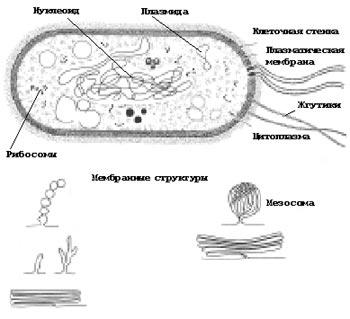 Эпс рисунок егэ