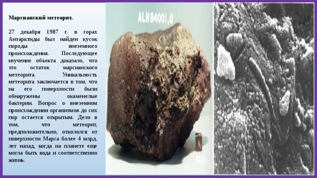 Марсианский метеорит.  27 декабря 1987 г. в горах Антарктиды был найден кусок породы внеземного происхождения. Последующее изучение объекта доказало, что это остаток марсианского метеорита. Уникальность метеорита заключается в том, что на его поверхности были обнаружены окаменелые бактерии. Вопрос о внеземном происхождении организмов до сих пор остается открытым. Дело в том, что метеорит, предположительно, откололся от поверхности Марса более 4 млрд. лет назад, когда на планете еще могла быть вода и соответственно жизнь. 