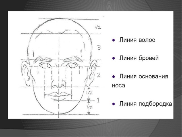 Схема лица изо 6 класс - 87 фото