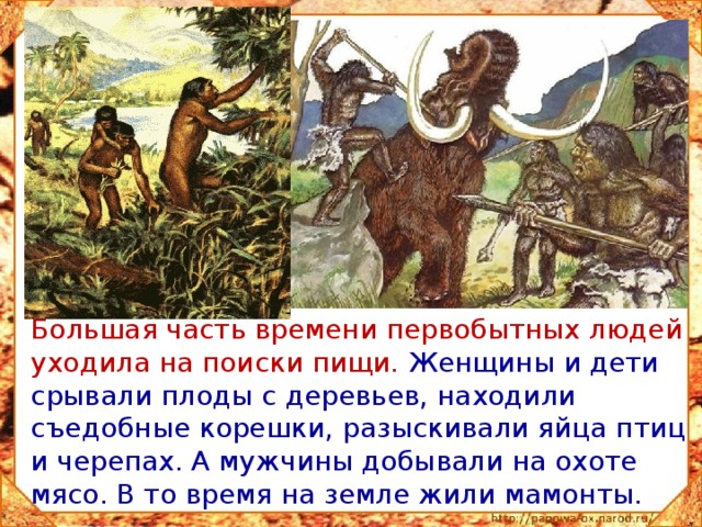  Большая часть времени первобытных людей уходила на поиски пищи. Женщины и дети срывали плоды с деревьев, находили съедобные корешки, разыскивали яйца птиц и черепах. А мужчины добывали на охоте мясо. В то время на земле жили мамонты. 