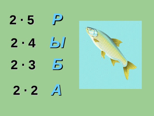 Р 2 · 5 Ы 2 · 4 Б 2 · 3 А 2 · 2