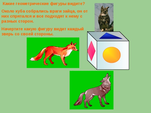 Какие геометрические фигуры видите? Около куба собрались враги зайца, он от них спрятался и все подходят к нему с разных сторон. Начертите какую фигуру видит каждый зверь со своей стороны.