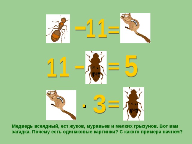 · Медведь всеядный, ест жуков, муравьев и мелких грызунов. Вот вам загадка. Почему есть одинаковые картинки? С какого примера начнем?