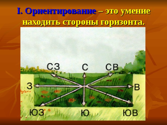 Как определить стороны горизонта на плане местности