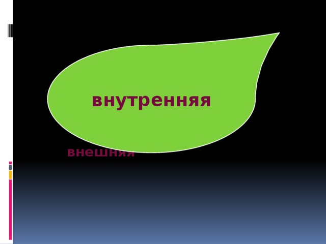 внутренняя  внешняя 