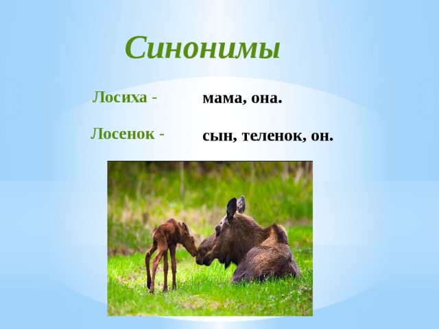 Изложение в погожий летний день в чаще леса у лосихи родился лосенок презентация