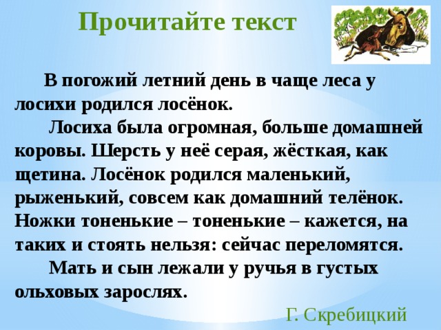 Изложение по тексту скребицкого лось 3 класс презентация