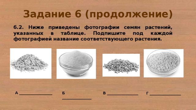 Подпишите под каждым. Ниже приведены изображения круп указанных в таблице. Крупы указанные в таблице. Ниже приведены. Названия семян растений для ВПР.