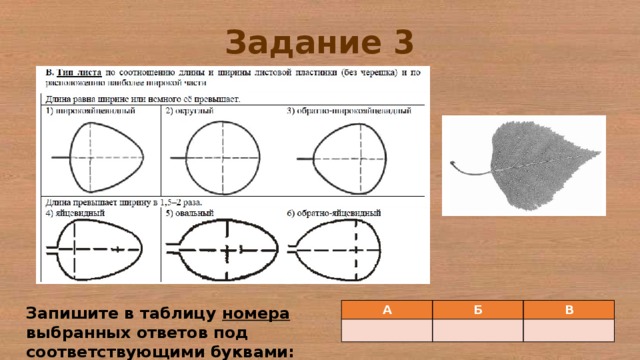 Под соответствующими буквами. Впишите в таблицу выбранных ответов под соответствующими буквами. Запишите в таблицу цифры соответствующие буквам 6 класс 1 вариант. 4 Класс запиши номера выбранных ответов под соответствующими буквами..