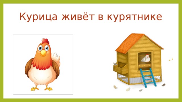 Где живут куры. Где живет курица. Где живет курица картинки для детей. Где живёт курица для детей. Курятник картинка для детей.