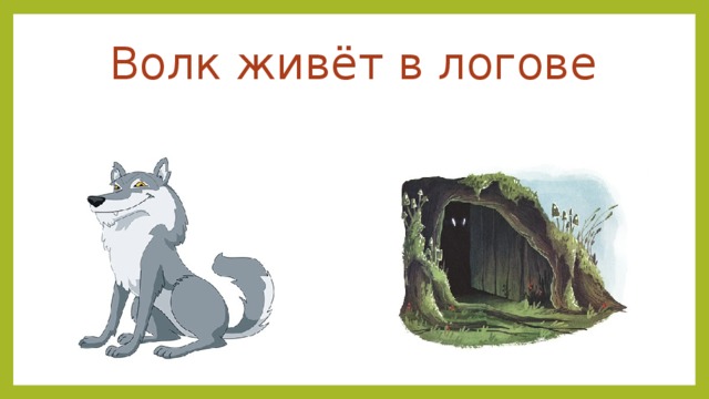 Где живете волк. Волк живет в логове. Где живет волк. Жилище волка. Где живёт волк для детей.