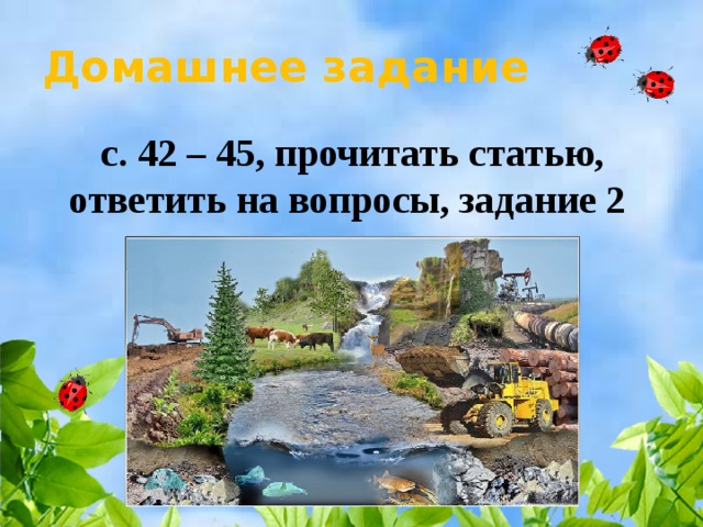 Домашнее задание  с. 42 – 45, прочитать статью, ответить на вопросы, задание 2 