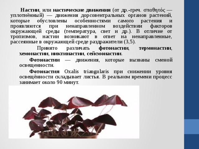  Настии , или настические движения (от др.-греч. σπαθητός — уплотнённый) — движения дорсовентральных органов растений, которые обусловлены особенностями самого растения и проявляются при ненаправленном воздействии факторов окружающей среды (температура, свет и др.). В отличие от тропизмов, настии возникают в ответ на ненаправленные, рассеянные в окружающей среде раздражители (3,5).    Принято различать фотонастии , термонастии , хемонастии , никтинастии , сейсмонастии .   Фотонастии — движения, которые вызваны сменой освещенности.   Фотонастия Oxalis triangularis при снижении уровня освещённости складывает листья. В реальном времени процесс занимает около 90 минут.   