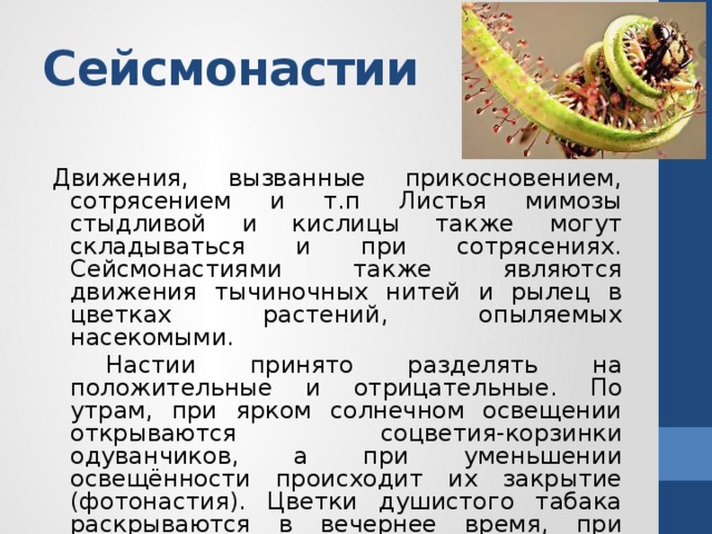 Сейсмонастии Движения, вызванные прикосновением, сотрясением и т.п Листья мимозы стыдливой и кислицы также могут складываться и при сотрясениях. Сейсмонастиями также являются движения тычиночных нитей и рылец в цветках растений, опыляемых насекомыми.   Настии принято разделять на положительные и отрицательные. По утрам, при ярком солнечном освещении открываются соцветия-корзинки одуванчиков, а при уменьшении освещённости происходит их закрытие (фотонастия). Цветки душистого табака раскрываются в вечернее время, при уменьшении освещённости. Это явление называется отрицательной фотонастией. 