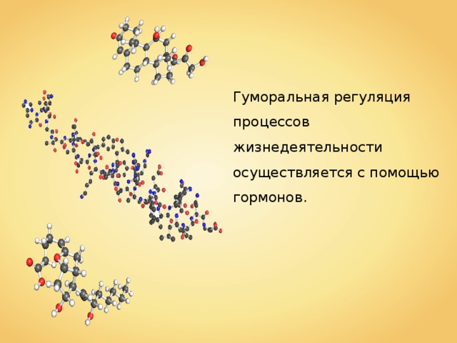 Процессы жизнедеятельности вам известны. Гуморальная регуляция фото. Интересные факты о регуляции жизнедеятельности у животных. Найти интересные факты о регуляции жизнедеятельности у животных.