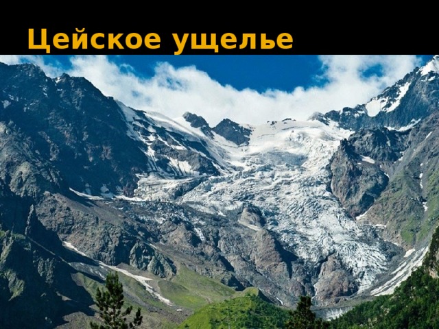 Веб камера цей