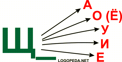 Щ е з ч. Автоматизация щ в слогах и словах. Слоги со звуком щ. Автоматизация звука щ в слогах. Слоги с буквой щ.