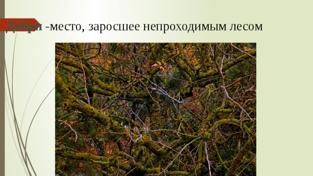 Презентация валерий брюсов опять сон. img8. Презентация валерий брюсов опять сон фото. Презентация валерий брюсов опять сон-img8. картинка Презентация валерий брюсов опять сон. картинка img8. Обучающиеся познакомятся с творчеством В.Я.Брюсова. Будут учиться понимать особенности поэтического текста и выражать свои мысли.