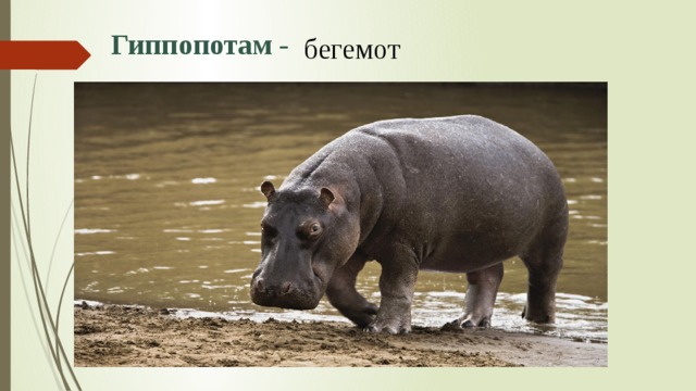 Презентация валерий брюсов опять сон. img9. Презентация валерий брюсов опять сон фото. Презентация валерий брюсов опять сон-img9. картинка Презентация валерий брюсов опять сон. картинка img9. Обучающиеся познакомятся с творчеством В.Я.Брюсова. Будут учиться понимать особенности поэтического текста и выражать свои мысли.
