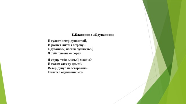 Е благинина одуванчик. Одуванчик стихи Благининой. Благинина одуванчик стих. Стихотворение одуванчик Благинина. Е Благинина одуванчик стих.