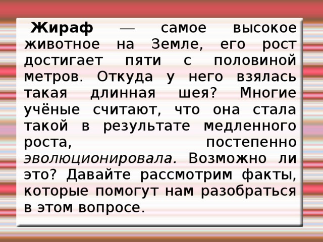 Жираф — самое высокое животное на Земле, его рост достигает пяти с половиной метров. Откуда у него взялась такая длинная шея? Многие учёные считают, что она стала такой в результате медленного роста, постепенно эволюционировала. Возможно ли это? Давайте рассмотрим факты, которые помогут нам разобраться в этом вопросе. 