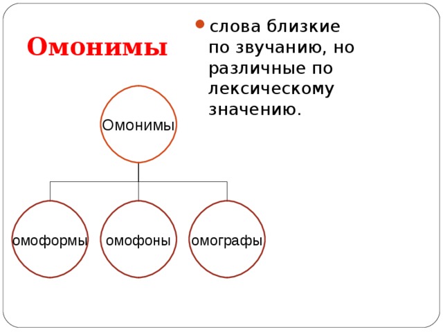 Омонимы омографы омоформы