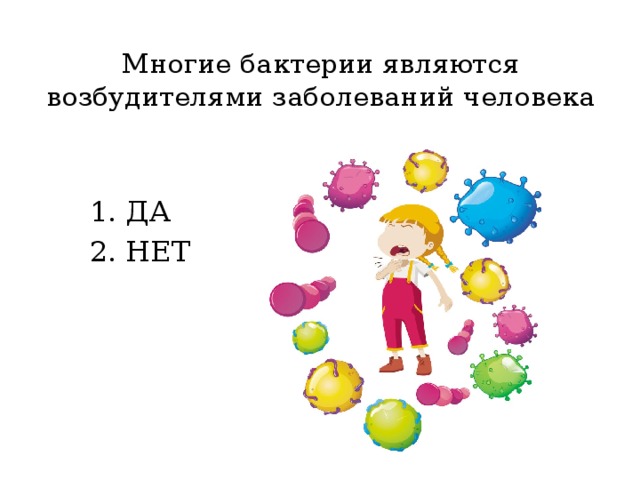 Многие бактерии являются возбудителями заболеваний человека ДА НЕТ 