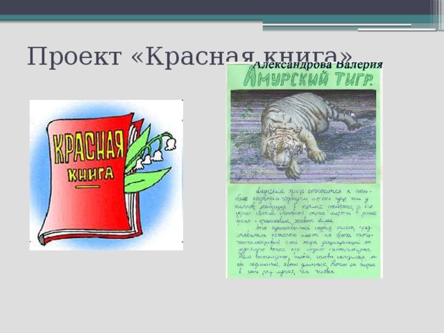 Паспорт проекта красная книга 2 класс